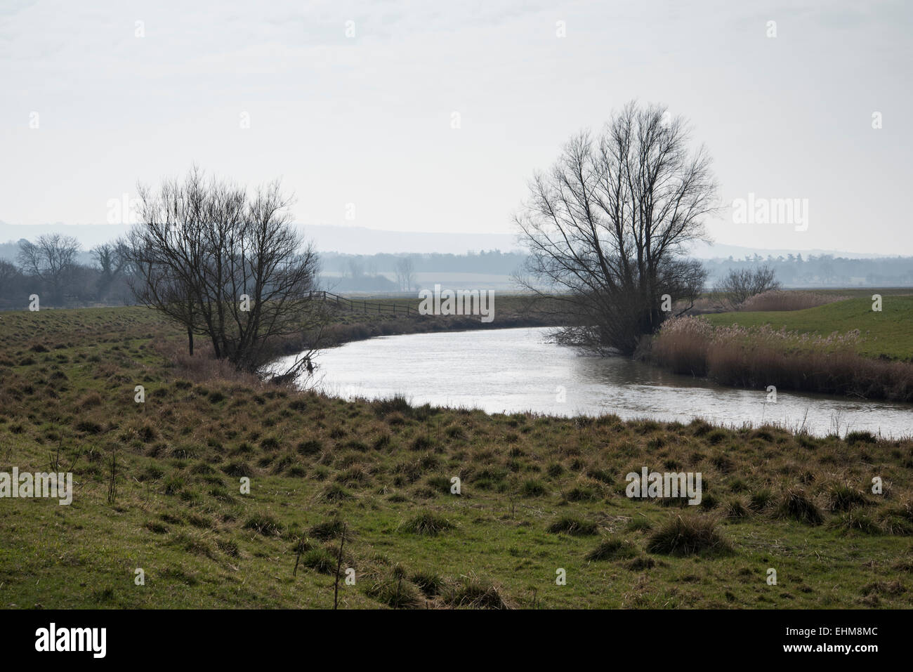 Ein Blick auf den South Downs aus dem römischen Pfad / Damm entlang Seite der Fluss Arun nahe Pulborough Stockfoto