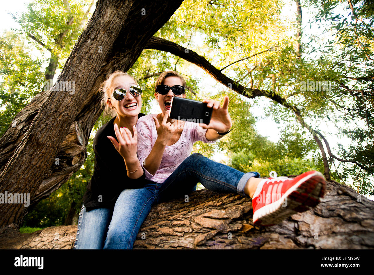 Kaukasischen Frauen, die die Handy-Selfie im Baum Stockfoto