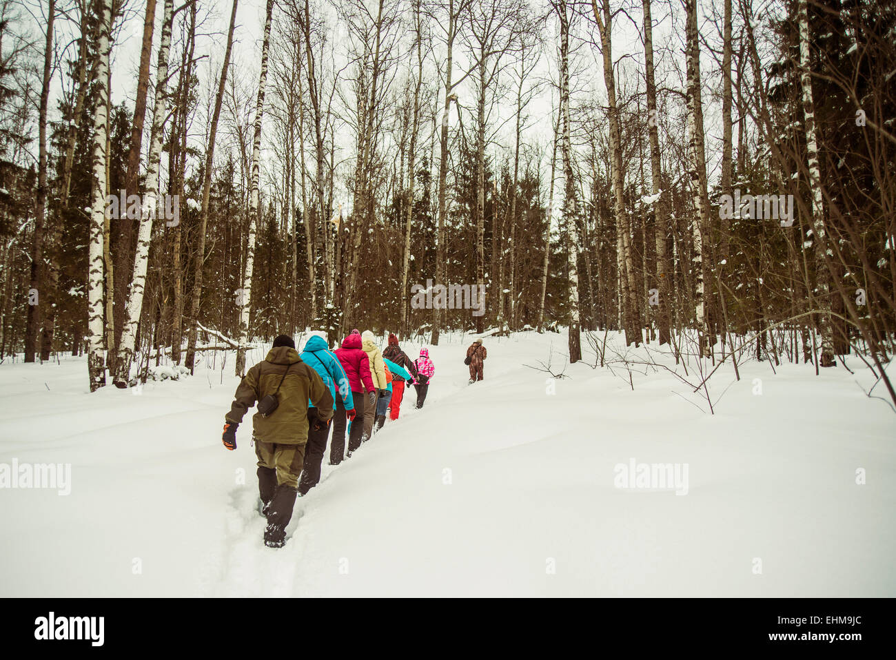 Kaukasische Wanderer Wandern im verschneiten Wald Stockfoto
