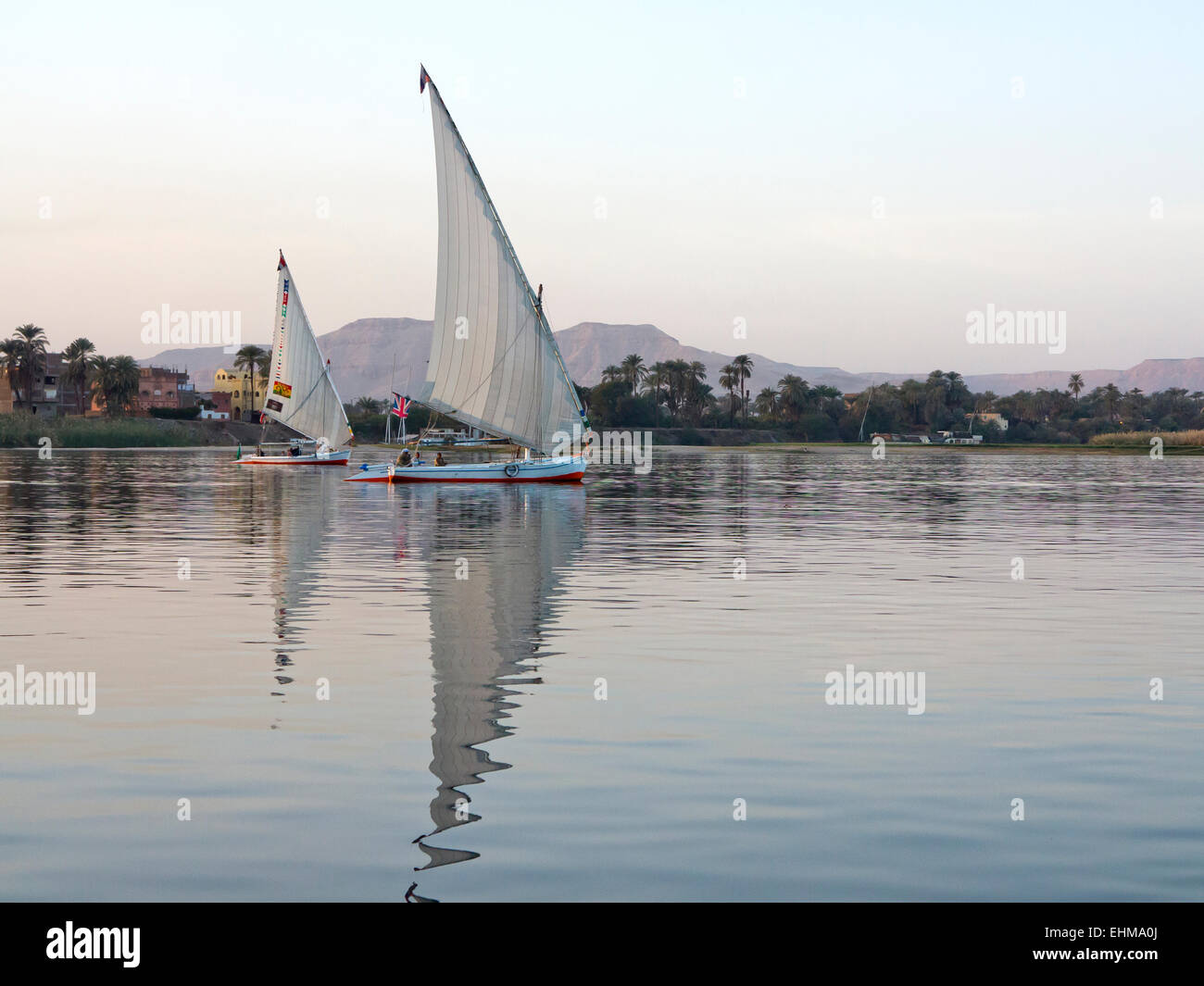Nil Fellucas Segeln von links nach rechts spiegelt sich auf sehr ruhigem Wasser mit Palmen und Bäumen gesäumten Nil Bank hinter Stockfoto