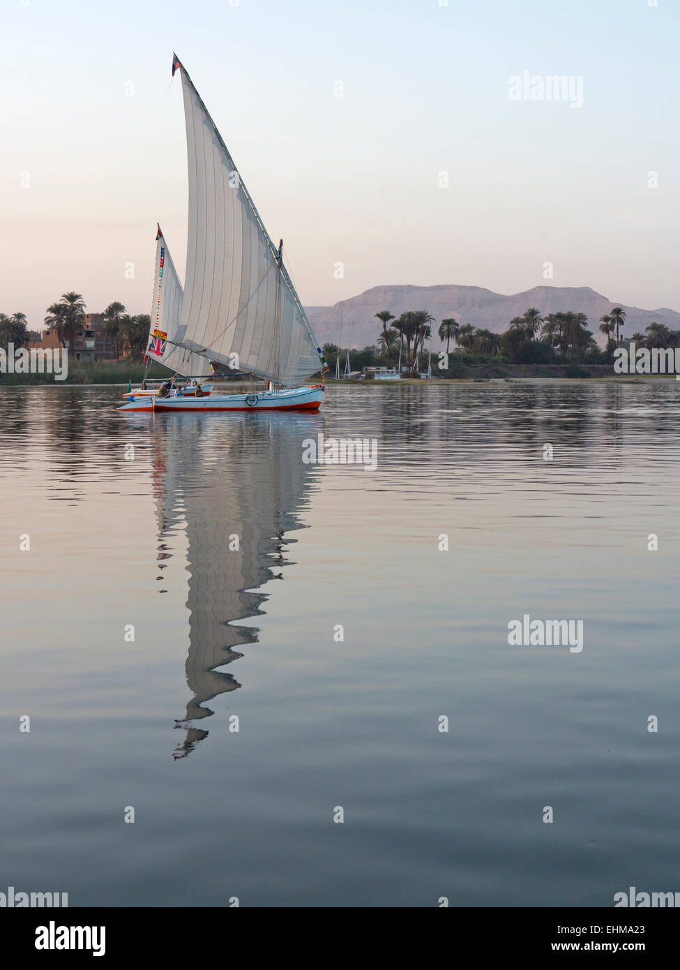 Nil Fellucas Segeln von links nach rechts spiegelt sich auf sehr ruhigem Wasser mit Palmen und Bäumen gesäumten Nil Bank hinter Stockfoto