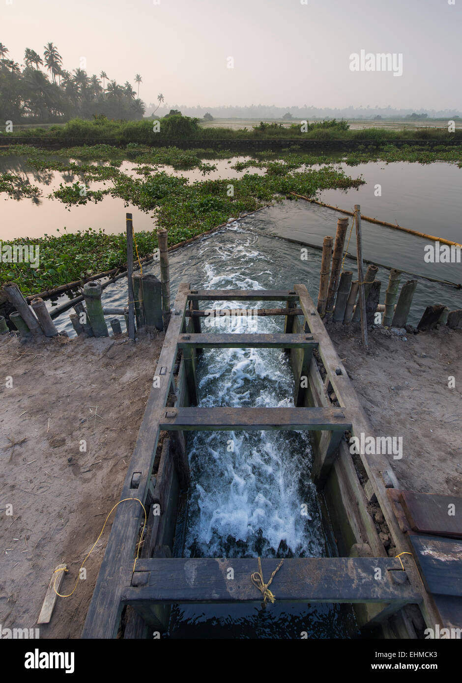Hölzernes Tor um den Wasserstand der Pokkali Reisfelder zu regulieren, während der Ebbe und Flut, Backwaters, Ernakulam Bezirk eröffnet Stockfoto