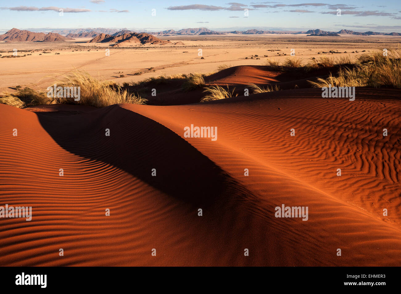 Elim Düne, Blick auf Grassteppe in Sesriem Camp, Namib-Wüste Namib Naukluft Park, Namibia Stockfoto