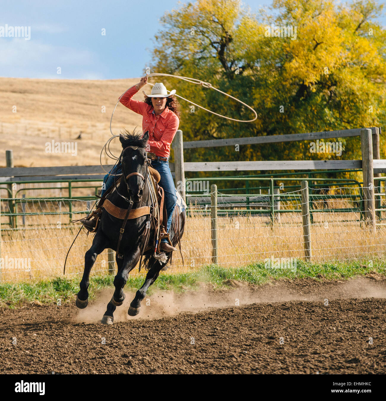 Kaukasische Frau mit Lasso auf Pferd beim rodeo Stockfoto