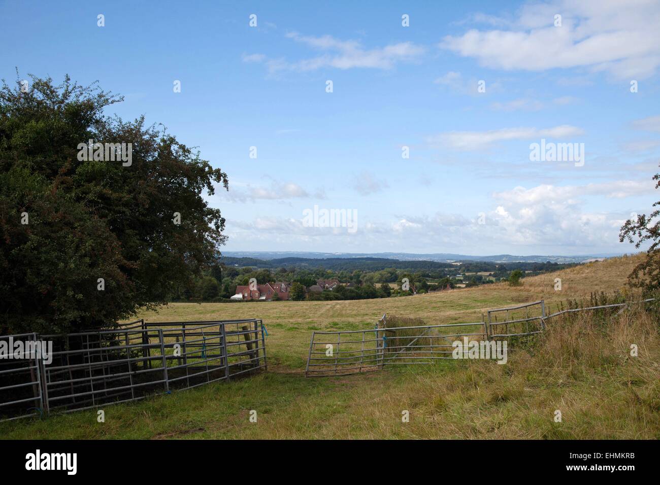 Blick in Richtung Hagley von Wychbury Hill, Hagley, West Midlands Stockfoto