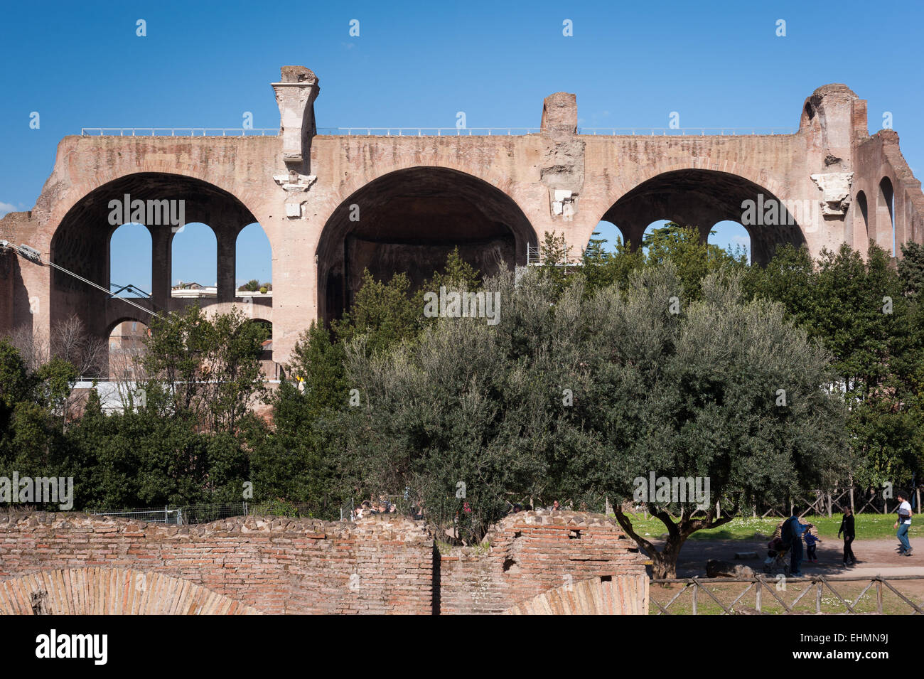 Die Basilika von Constantine und Maxentius im Forum Romanum, Rom, Latium, Italien. Stockfoto