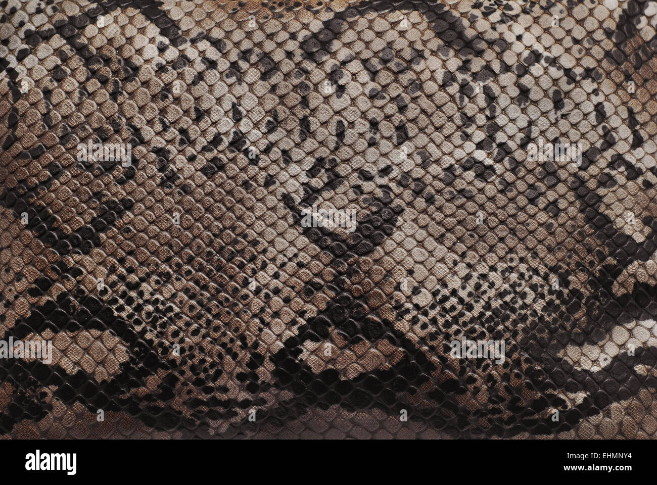 Reptile Haut Textur Nahaufnahme detail Stockfoto