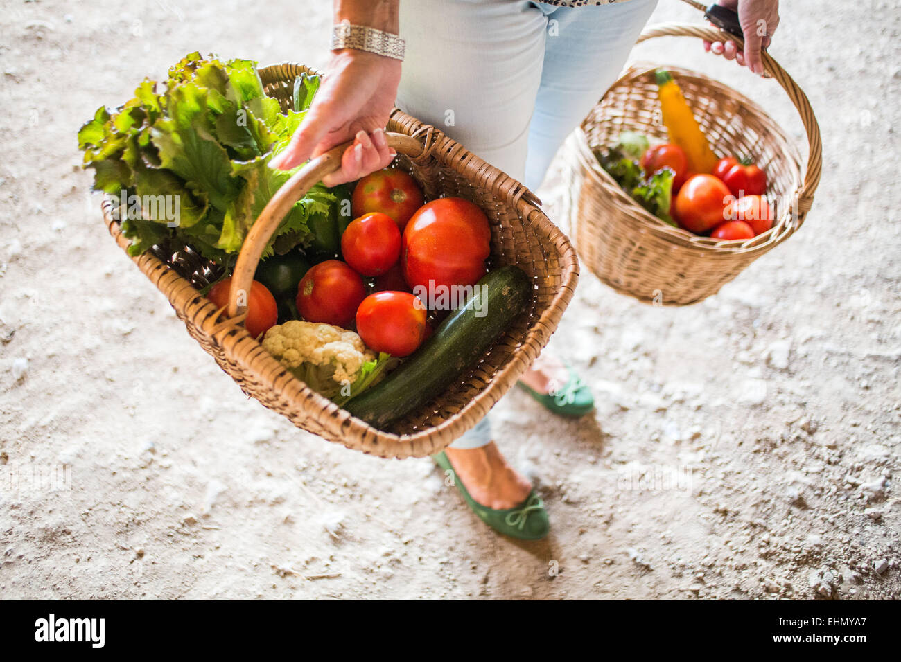 Verkauf von Bio-Gemüse auf dem Bauernhof, Charente, Frankreich. Stockfoto