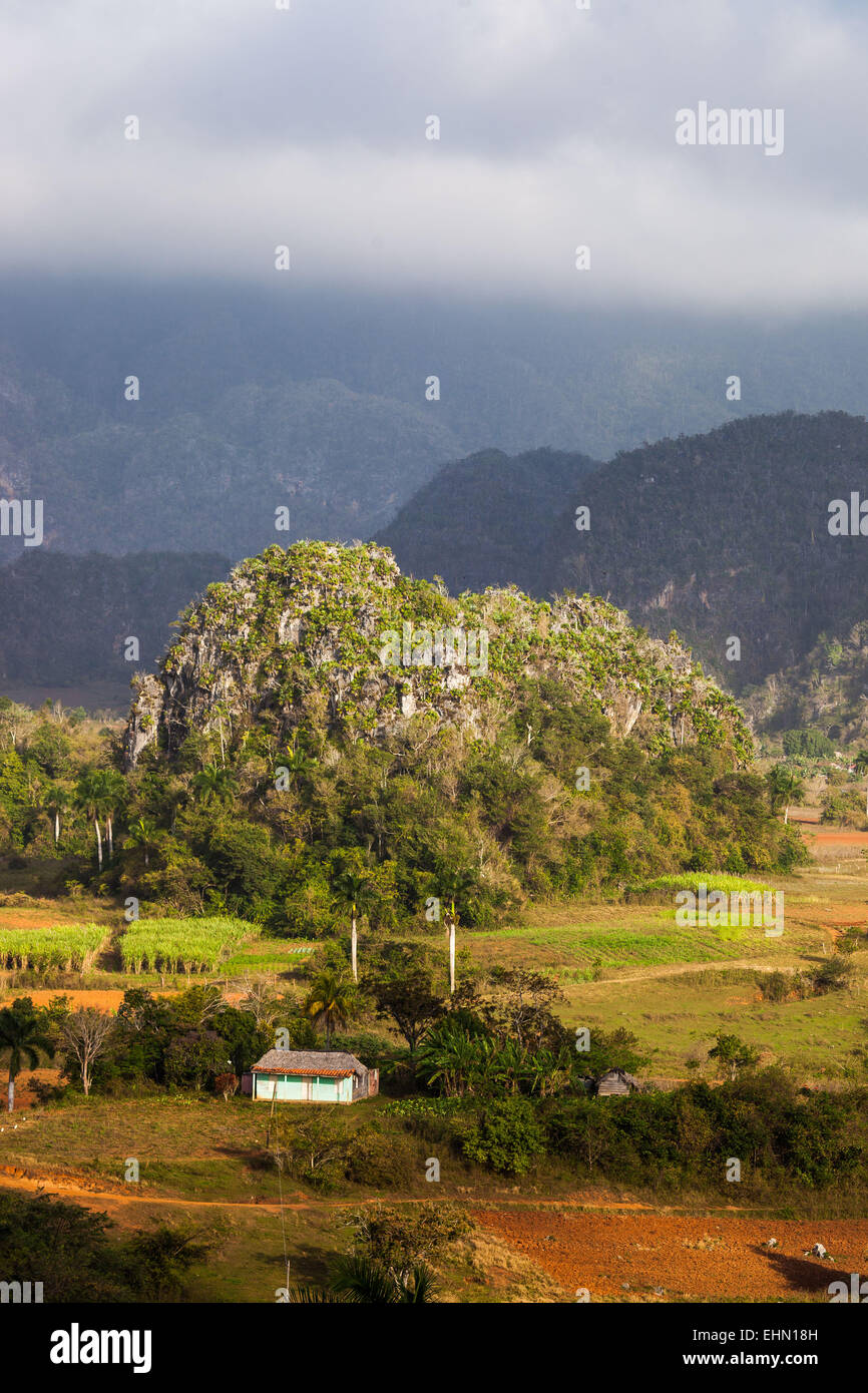 Landschaft von Viñales, Kuba, bekannt für die Qualität seiner Tabak und bewaldeten Hügeln, prähistorische Kalkstein-Formationen. Stockfoto