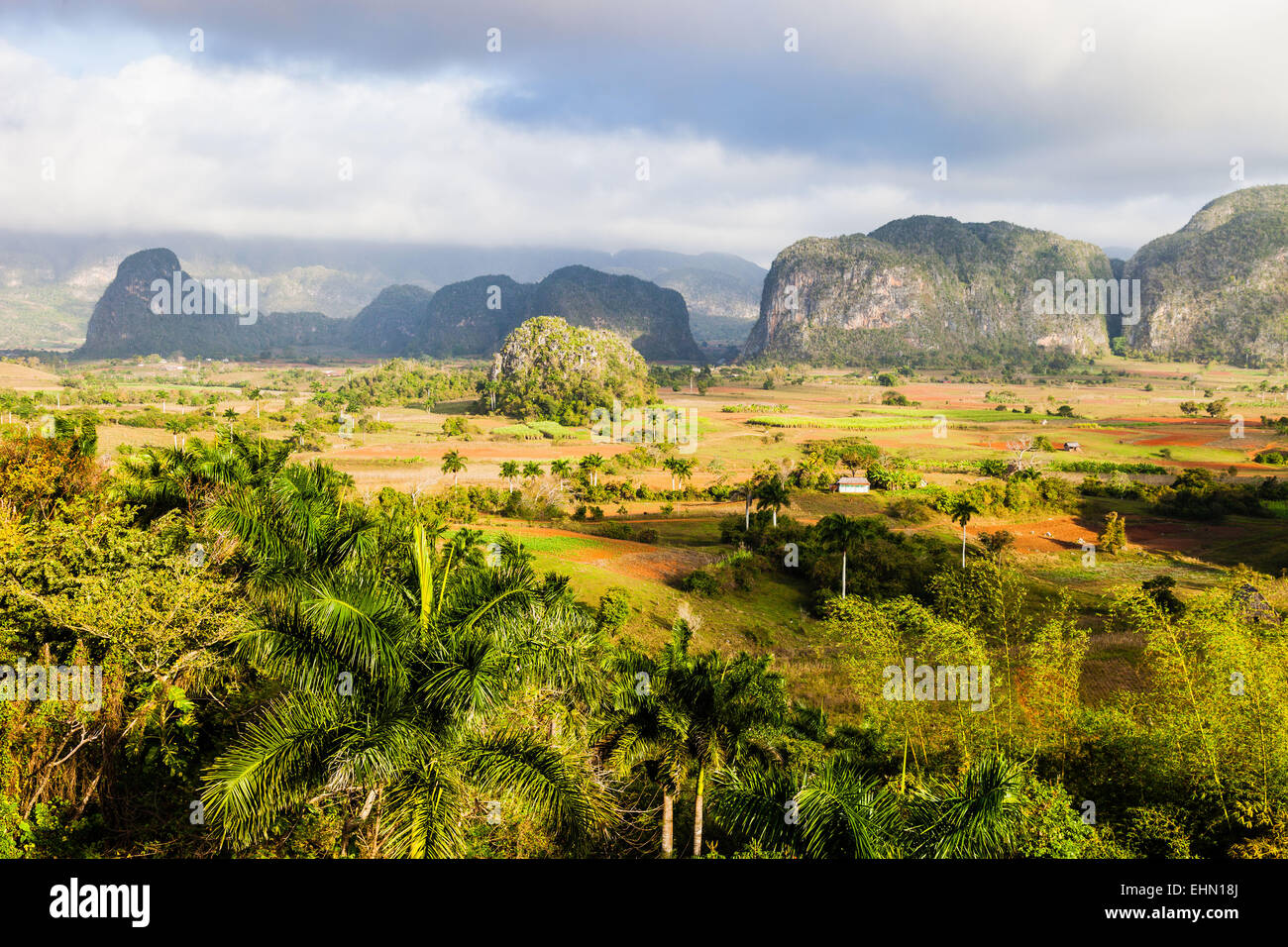 Landschaft von Viñales, Kuba, bekannt für die Qualität seiner Tabak und bewaldeten Hügeln, prähistorische Kalkstein-Formationen. Stockfoto