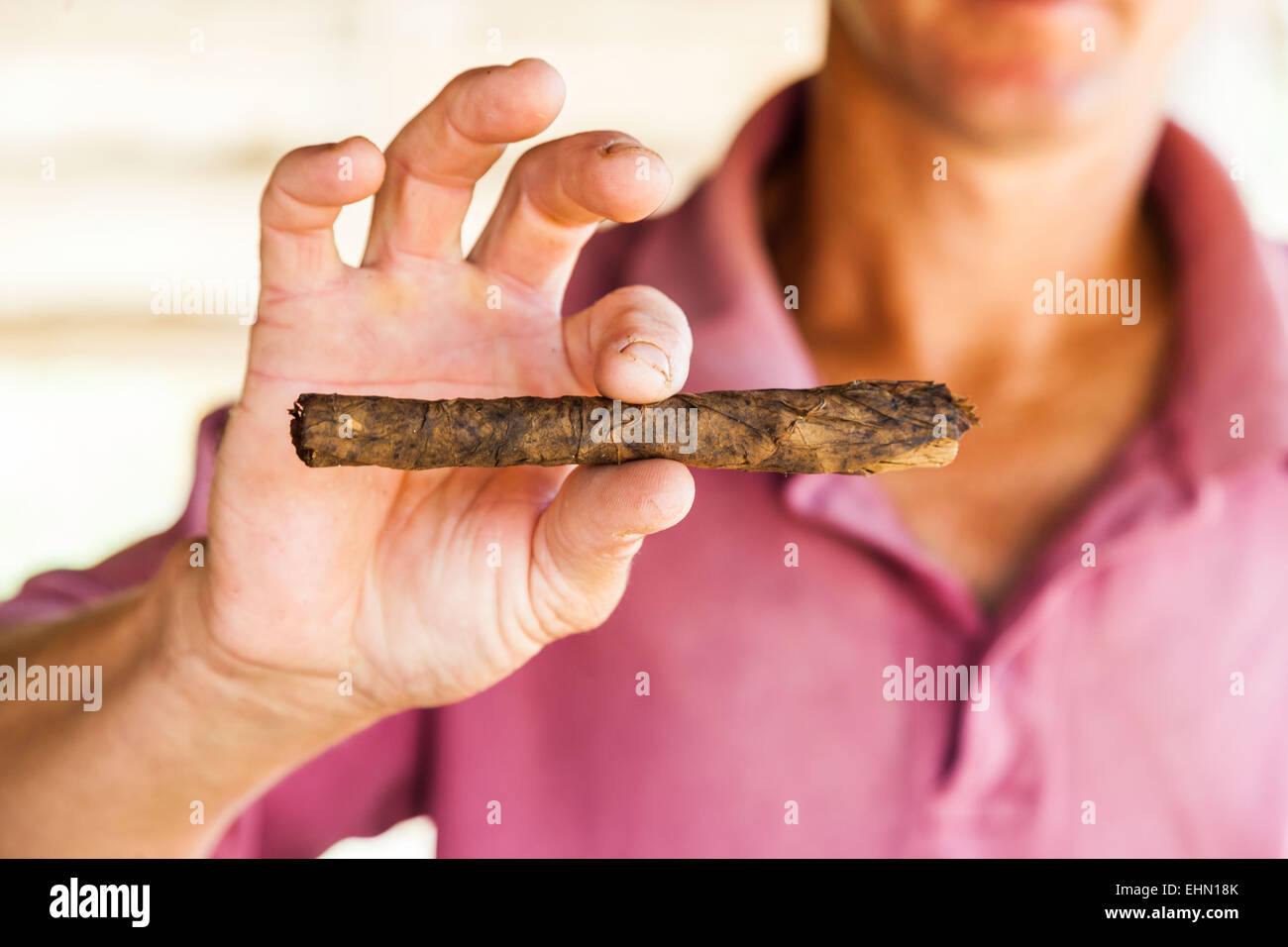 Handgemachte Zigarren, Vinales, Kuba. Stockfoto