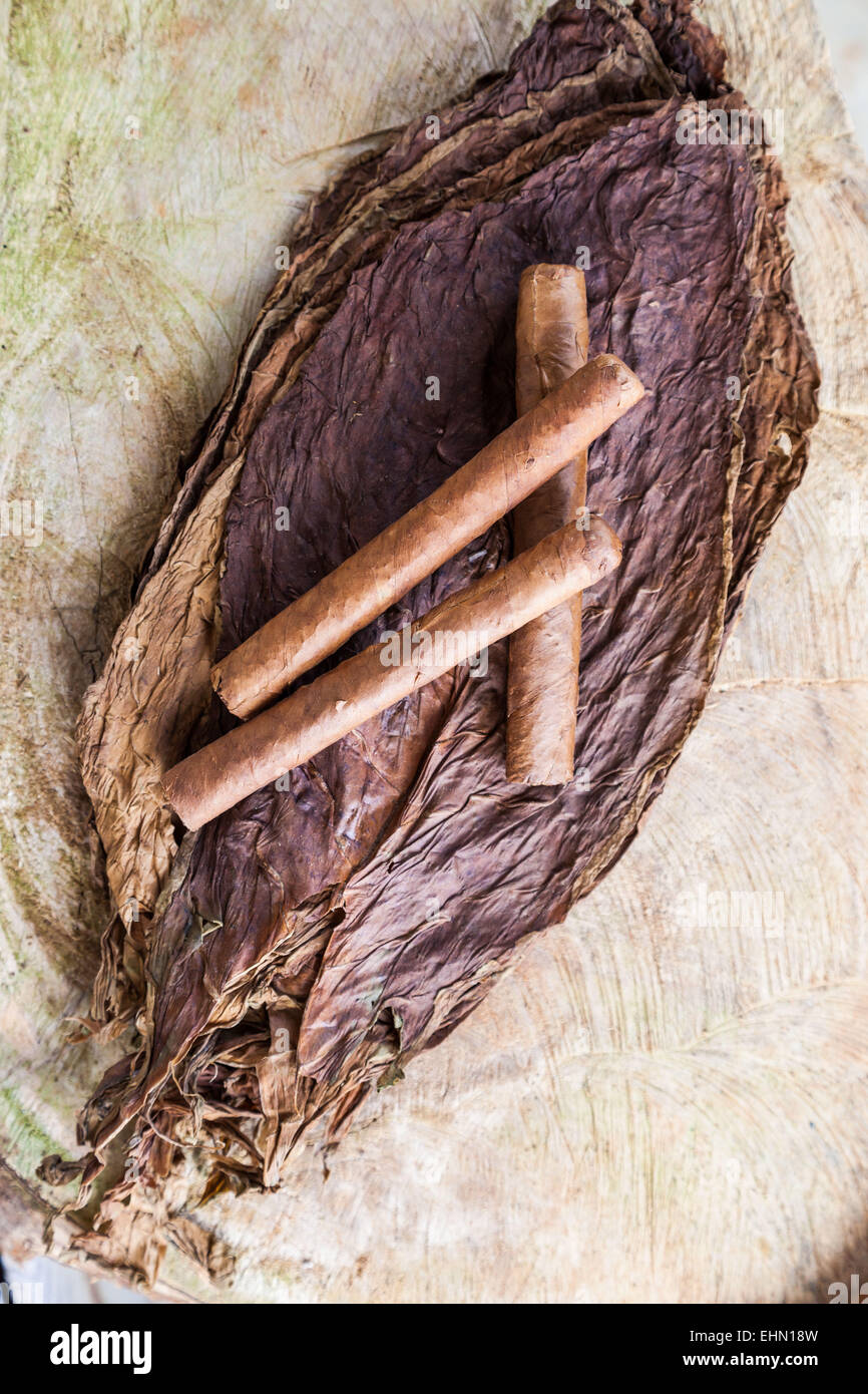 Handgemachte Zigarren, Vinales, Kuba. Stockfoto