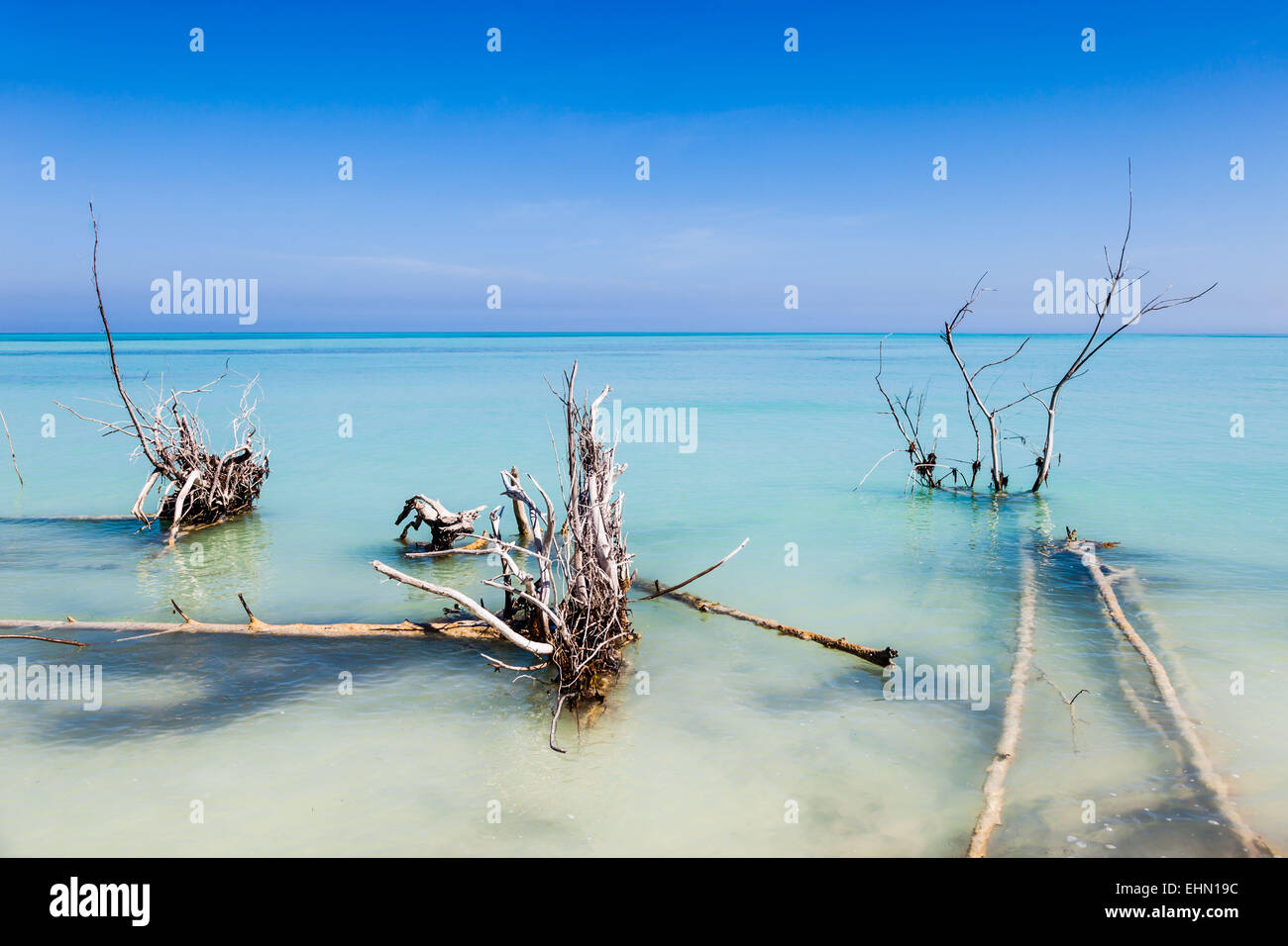 Strand von Cayo Levisa, Kuba. Stockfoto