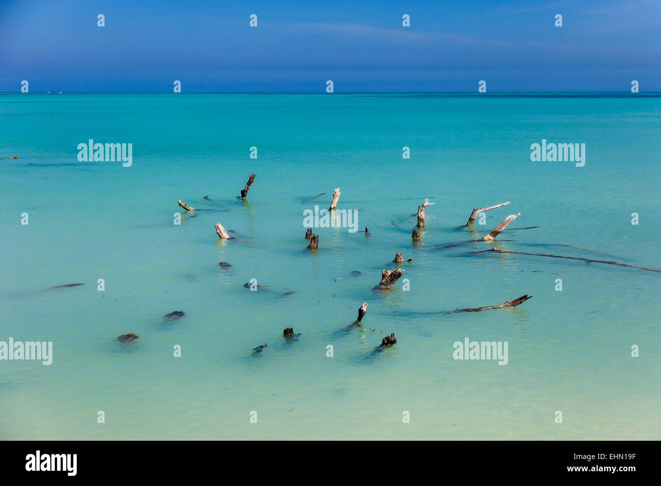 Strand von Cayo Levisa, Kuba. Stockfoto
