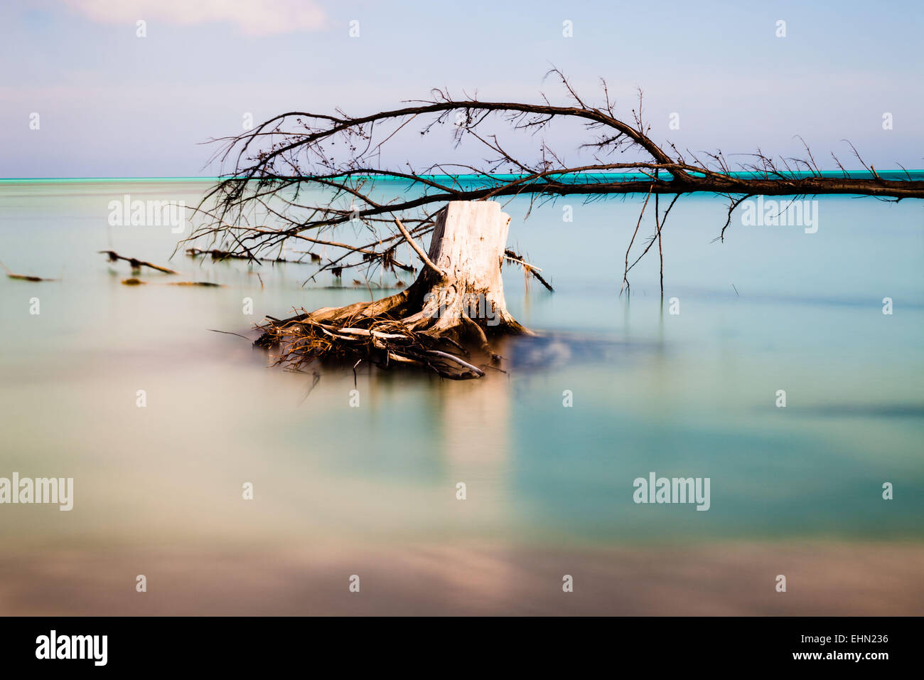 Strand von Cayo Levisa, Kuba. Stockfoto