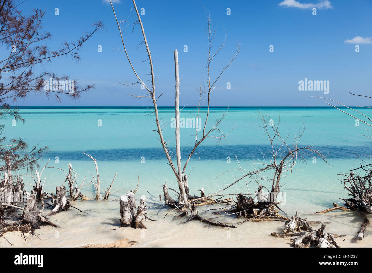 Cayo Levisa. Kuba. Stockfoto