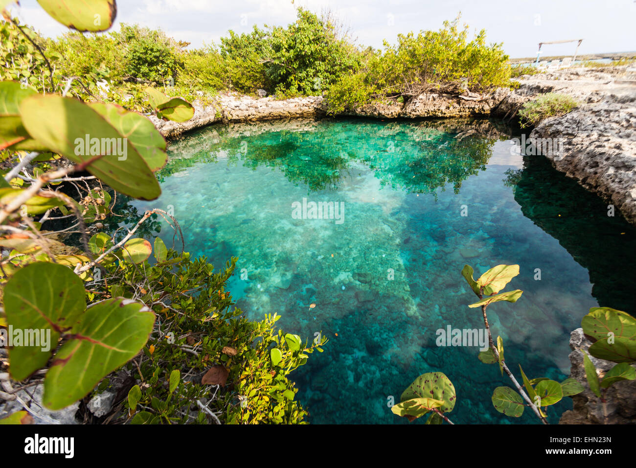 Cenote, Caleta Buena, Kuba. Stockfoto