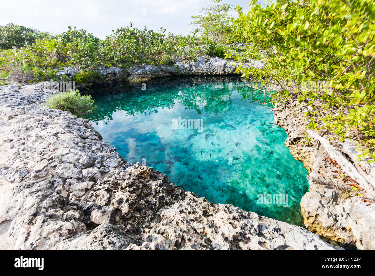 Cenote, Caleta Buena, Kuba. Stockfoto