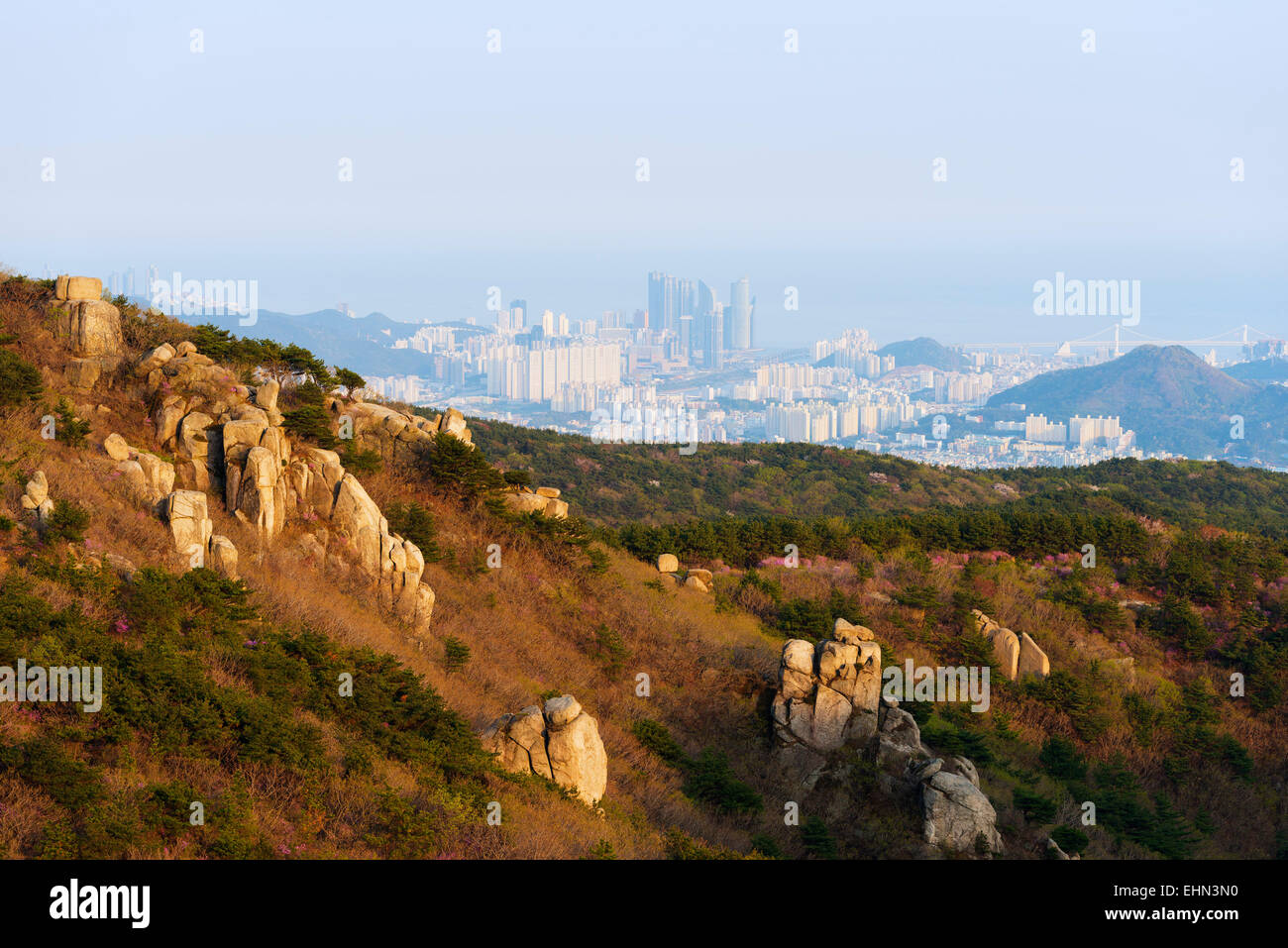 Asien, Republik Korea, Südkorea, Busan, Skyline der Stadt Stockfoto