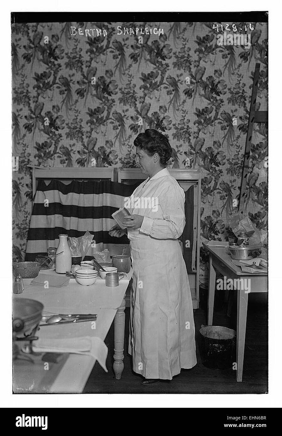 Ein Porträt von Bertha Shapleigh, einer bedeutenden historischen Figur, die für ihre Beiträge im frühen 20. Jahrhundert bekannt ist. Dieses Gemälde fängt ihre Essenz mit lebendigen Details und einem genauen Bild ein. Stockfoto