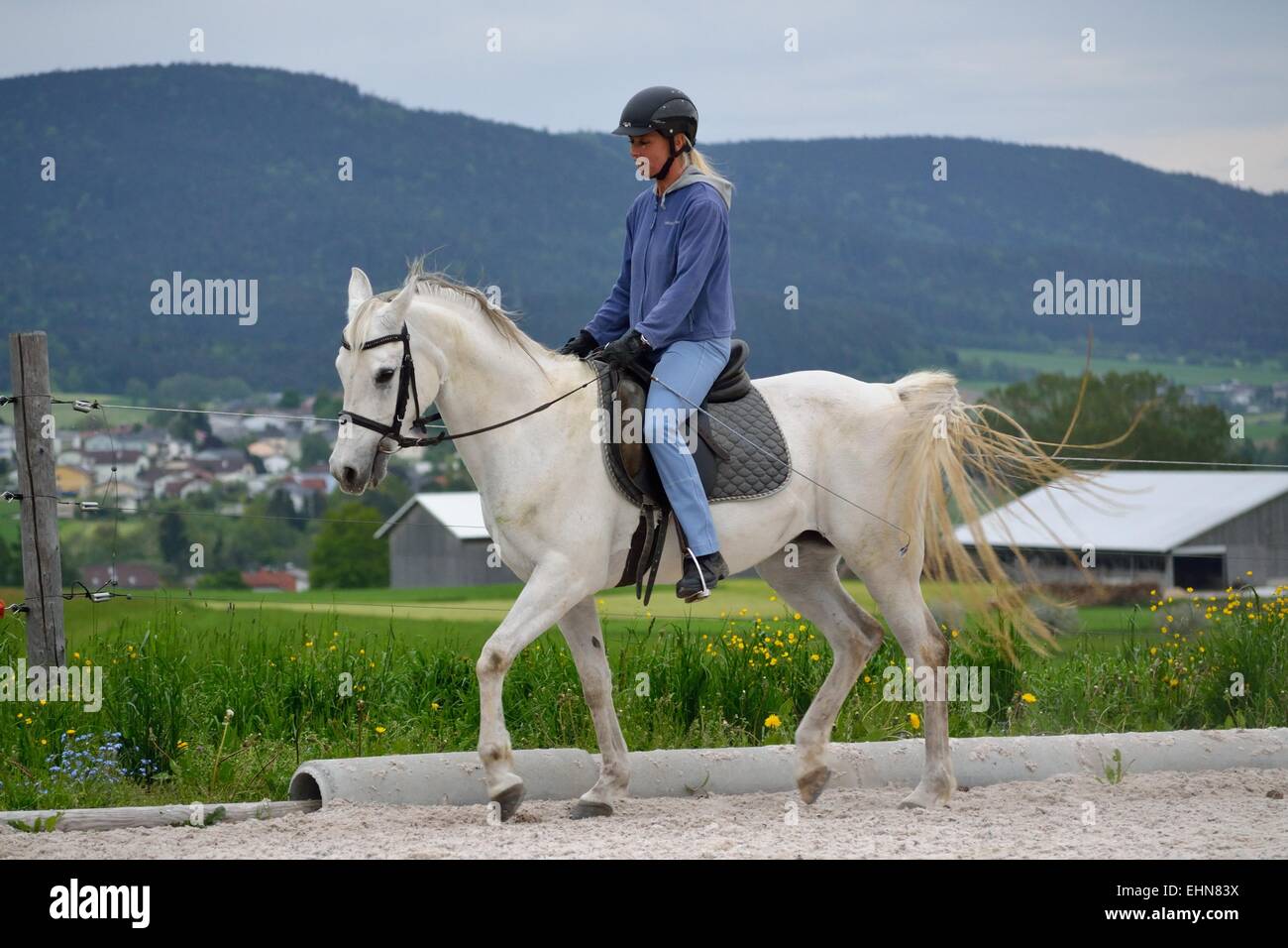 Frau Reiten auf Pferd Stockfoto