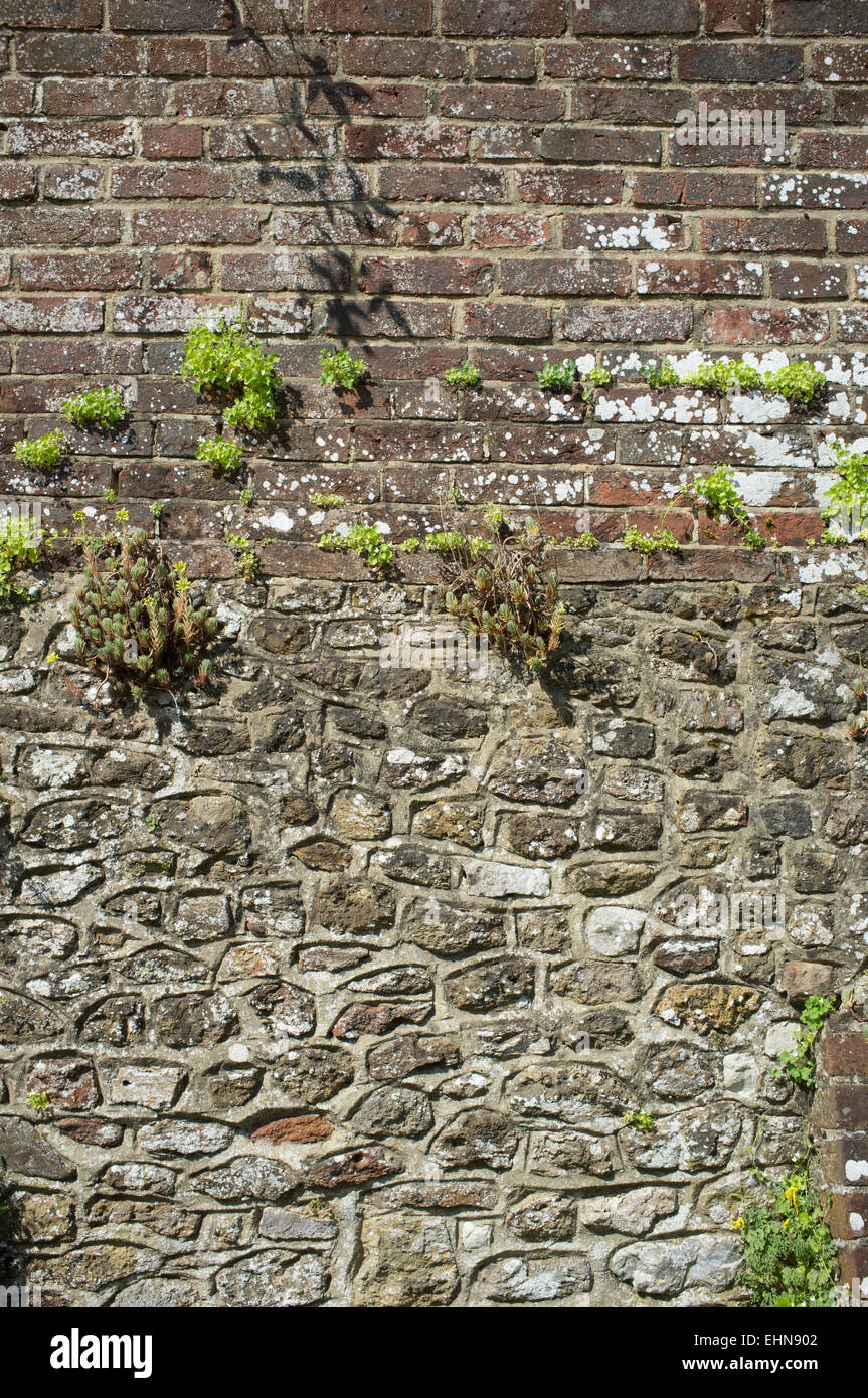 Alte Mauer. Stein, Ziegel, Maiskolben, Feuerstein. Warme Farben und Texturen Stockfoto