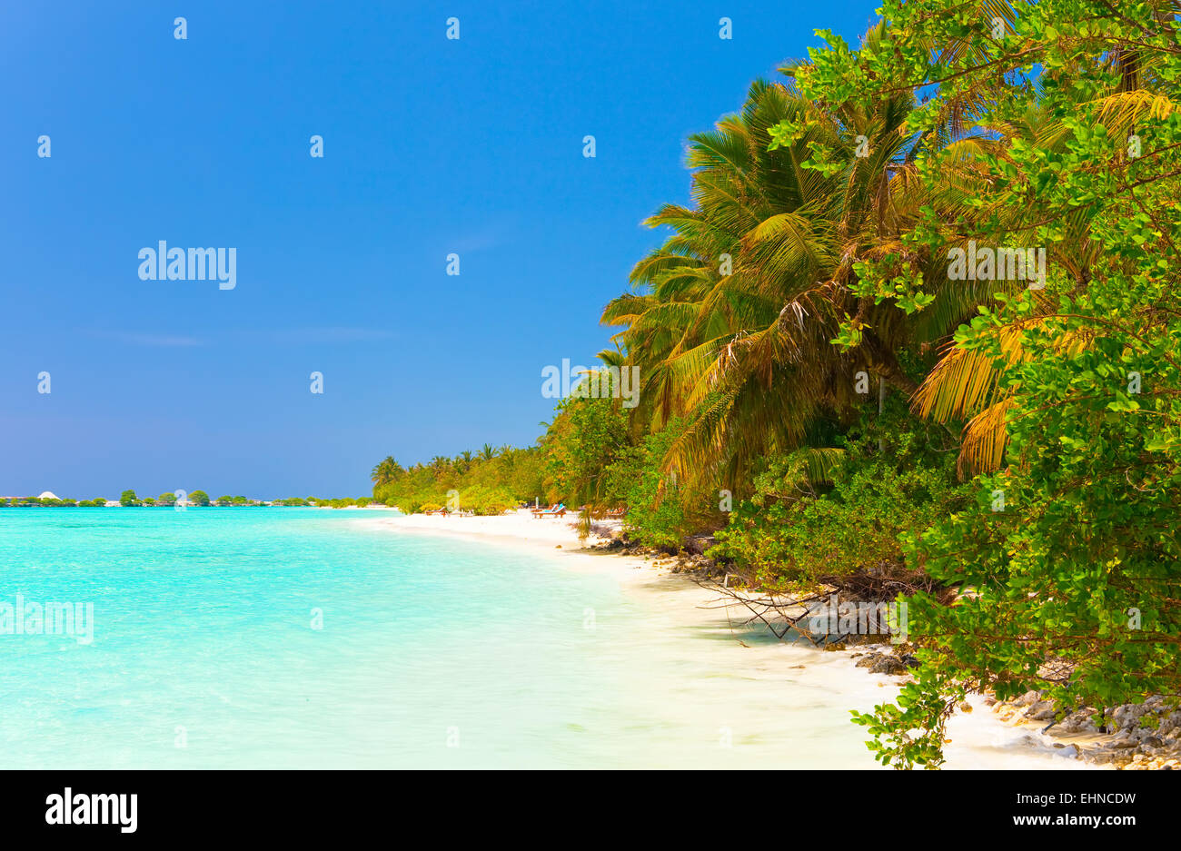 Malediven. tropische Insel. Stockfoto