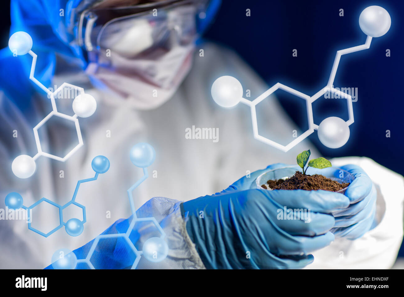 Nahaufnahme der Wissenschaftler mit Pflanzen- und Bodenproben im Labor Stockfoto