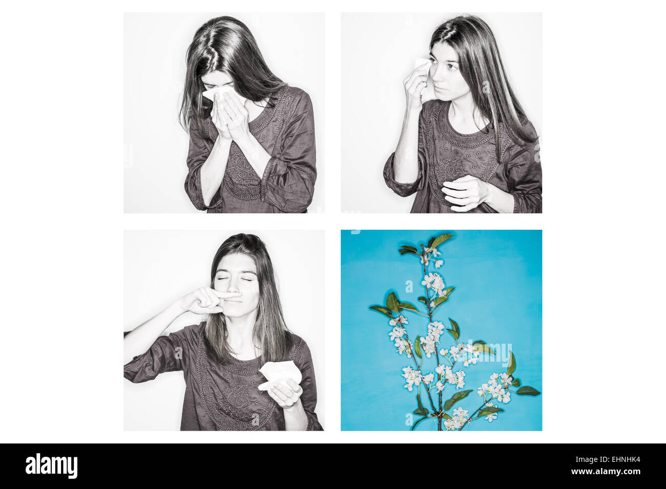 Frau mit Heuschnupfen, die ihre Nase weht. Stockfoto