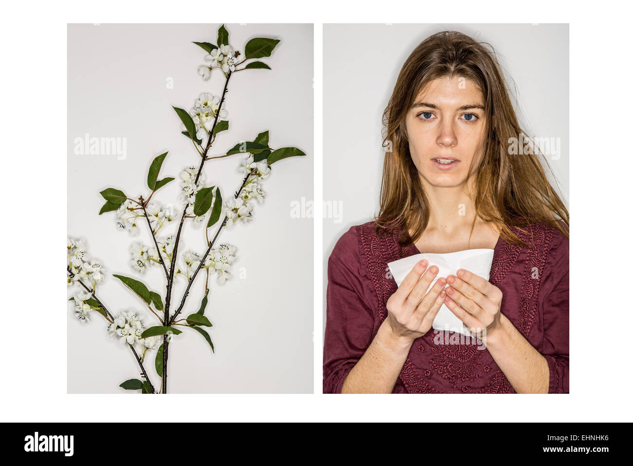 Frau mit Heuschnupfen, die ihre Nase weht. Stockfoto