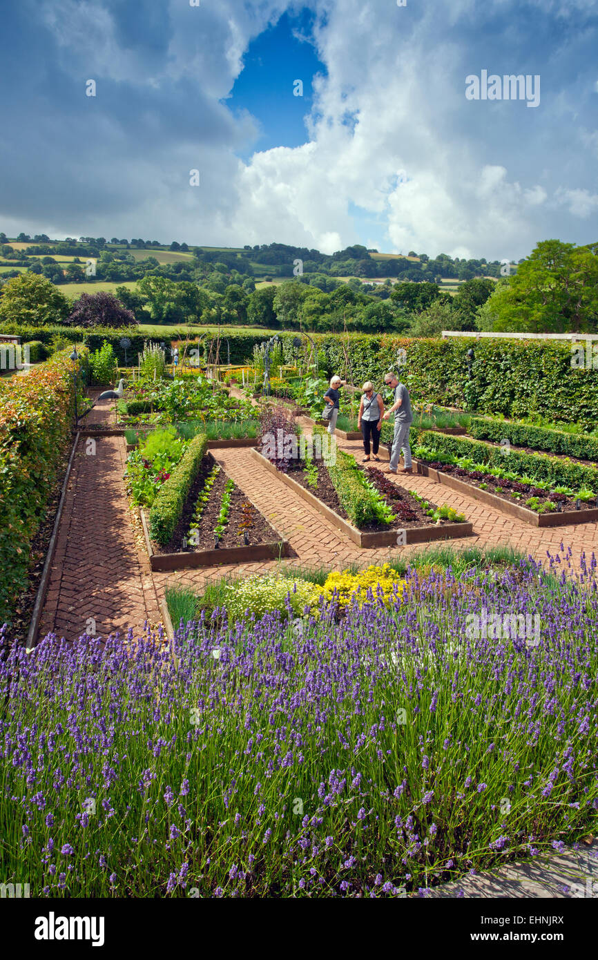 Der Gemüsegarten im The Yeo Valley Organic Garden bei Holt Farm, Blagdon, North Somerset, England, UK Stockfoto