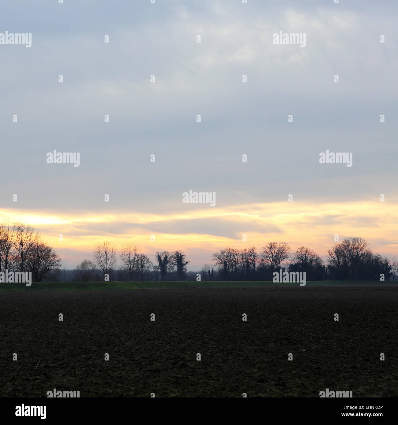 Ein Winterhimmel über Ackerland in der Nähe von Cremona, Italien. Der Po-Ebene ist eine der wichtigsten landwirtschaftlichen Regionen Italiens. Stockfoto