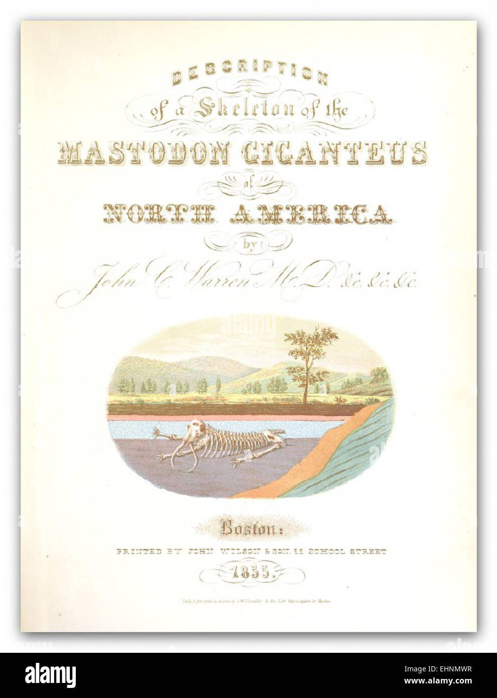 Warrens Verweis auf *Mastodon giganteus* aus dem Jahr 1855 hebt dieses prähistorische Wesen hervor, allgemein bekannt als das Riesenmastodon, ein großes Säugetier, das während des Pleistozäns lebte. Stockfoto
