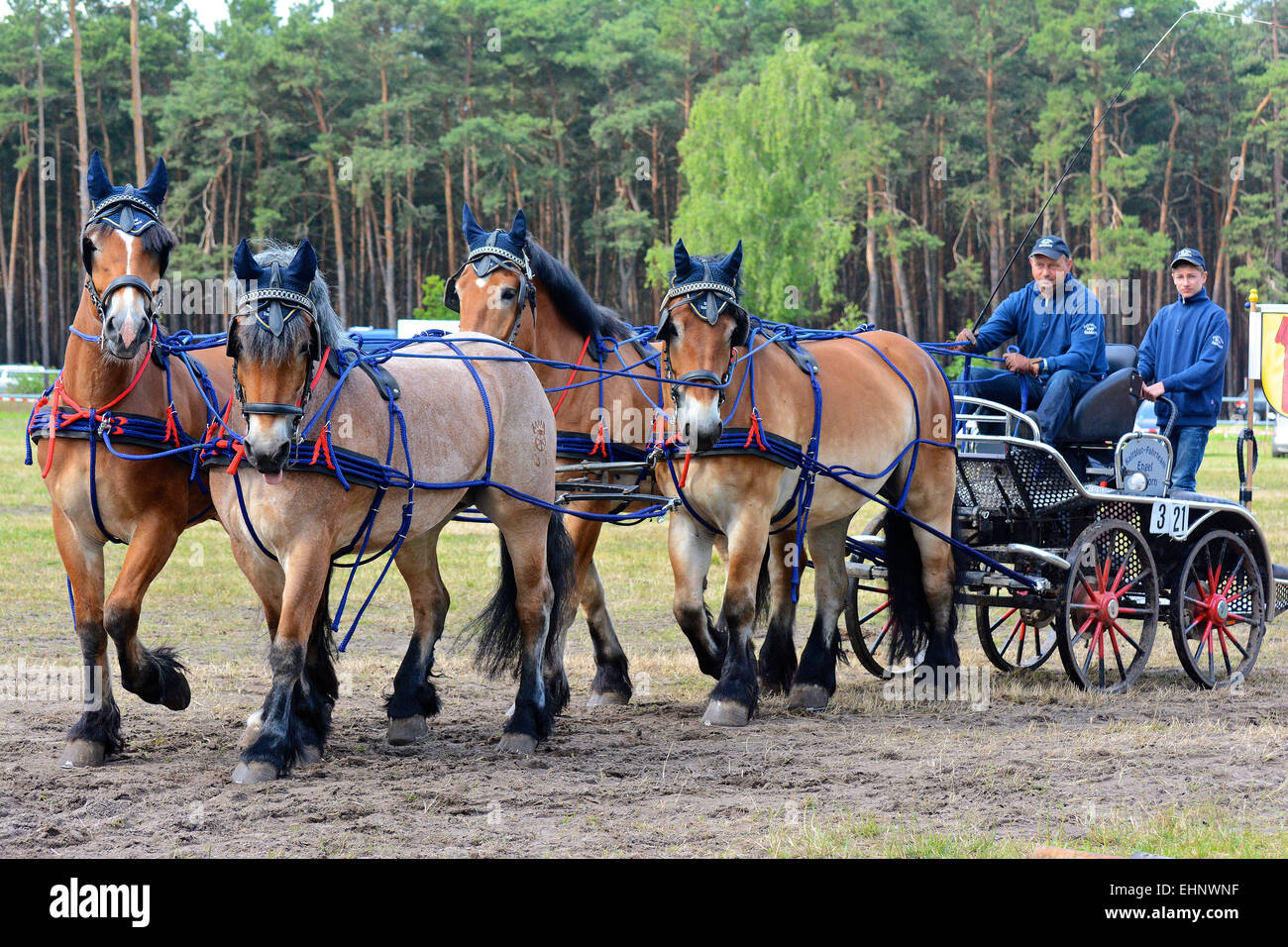 Entwurf-Pferderennen in Deutschland Stockfoto