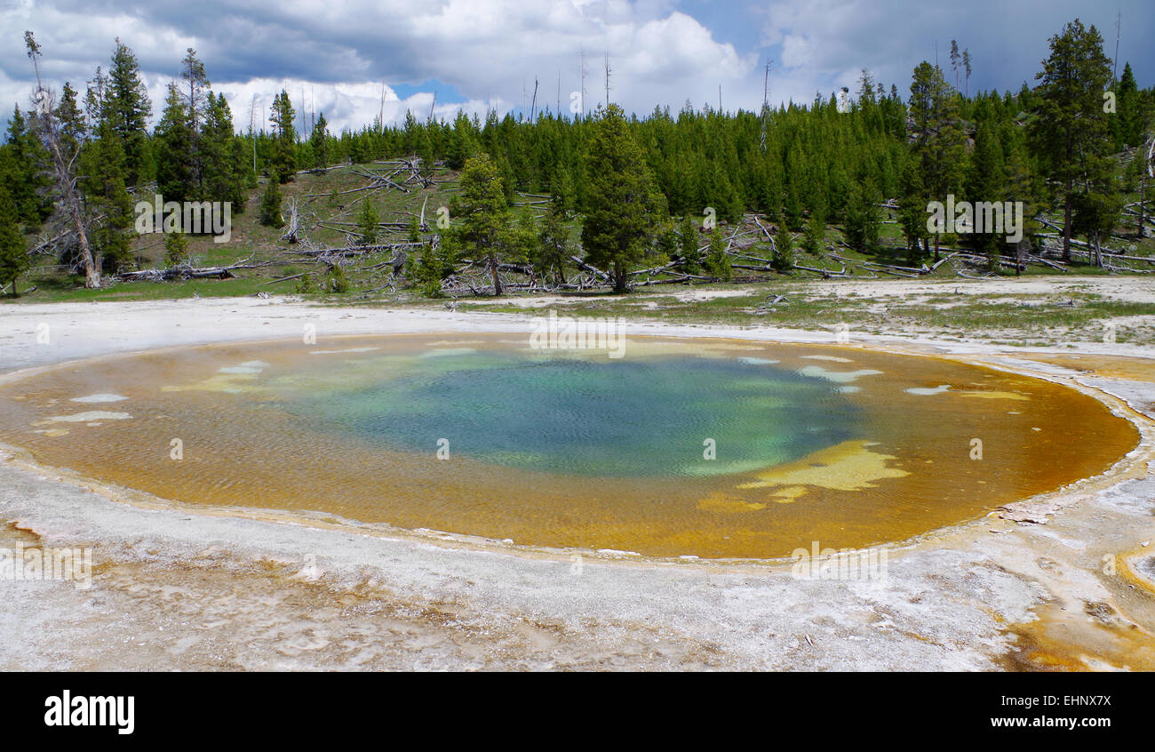 USA - Yellowstone Stockfoto