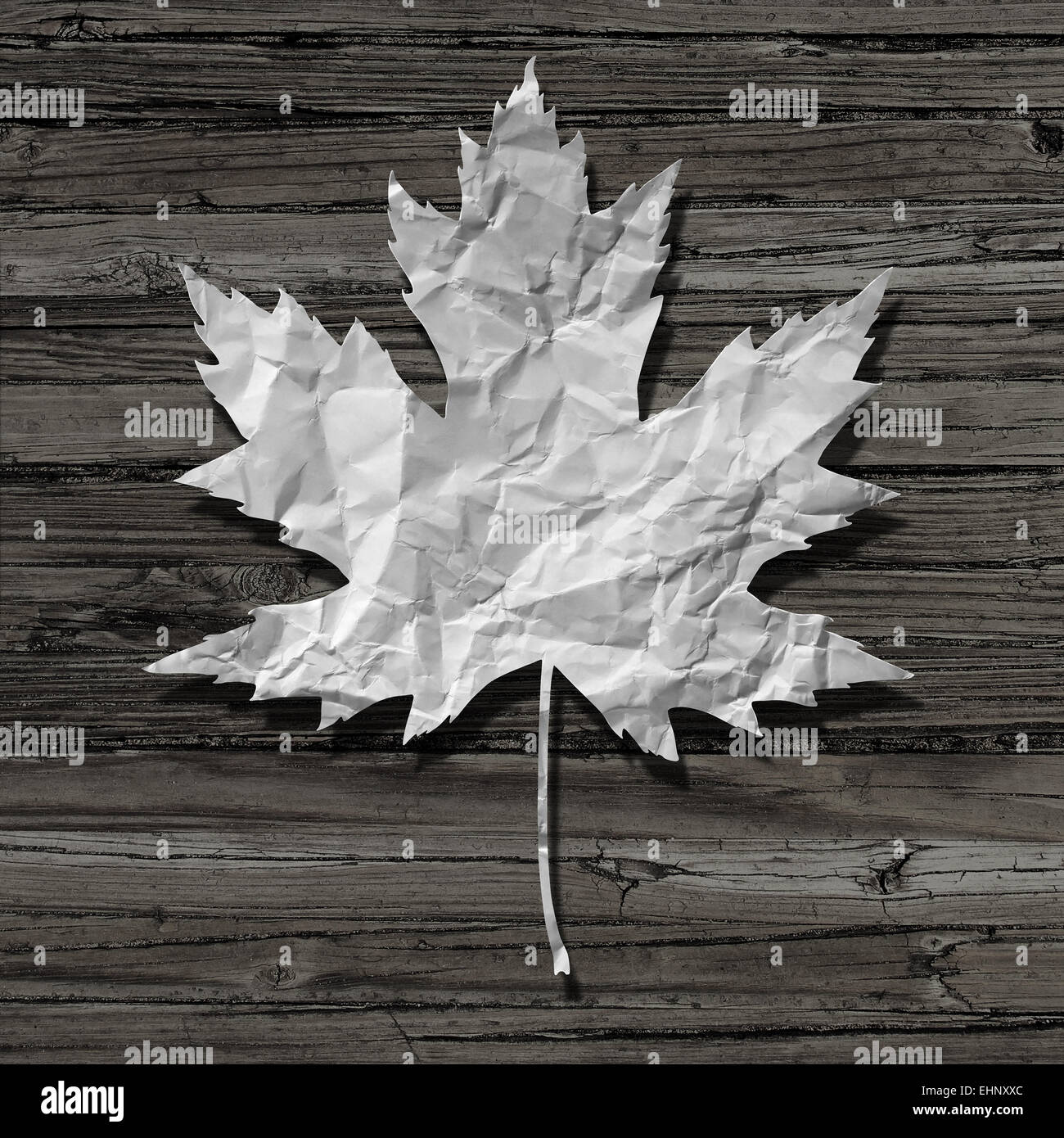 Papier Blatt auf einem alten rustikalen Holz Hintergrund als Symbol für Natur und recycling oder Zellstoff und Papier-Industrie-Symbol. Stockfoto