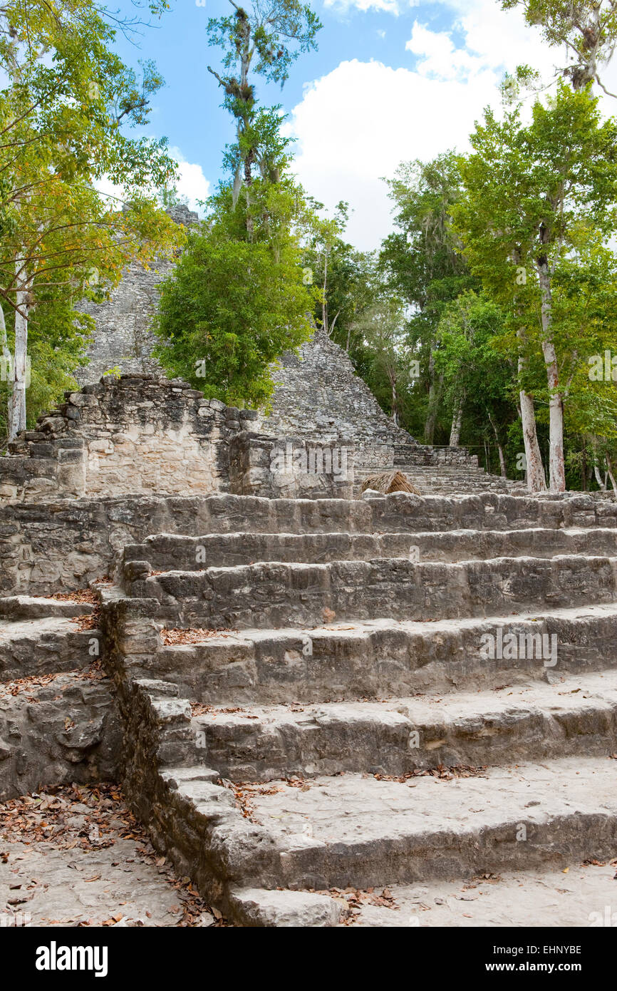 Coba Maya Ruinen in Mexiko Stockfoto