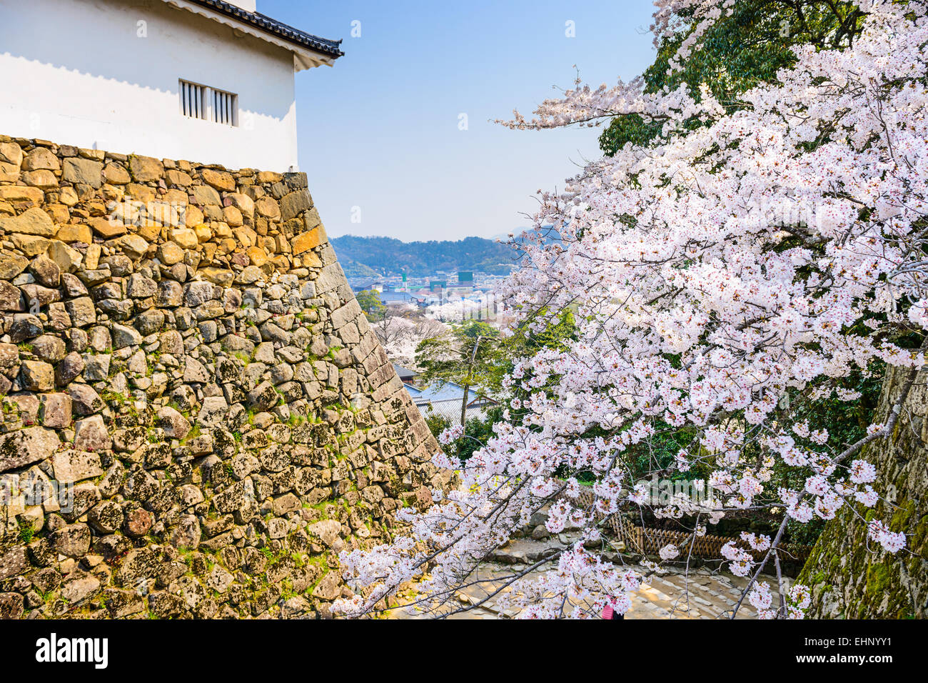 Hikone, Japan Schlosspark im Frühjahr. Stockfoto