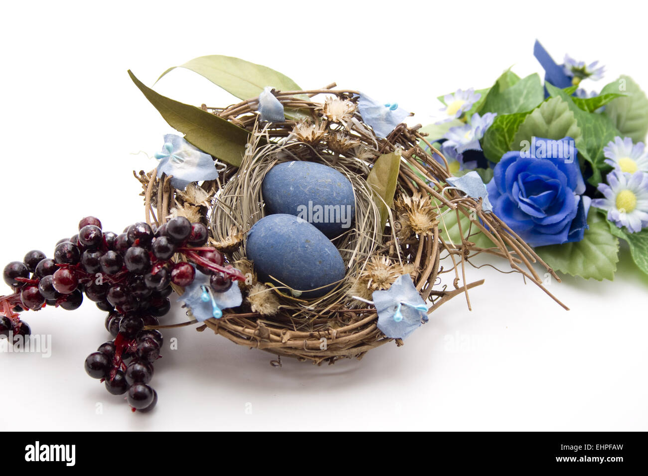 Blauen Eiern im nest Stockfoto