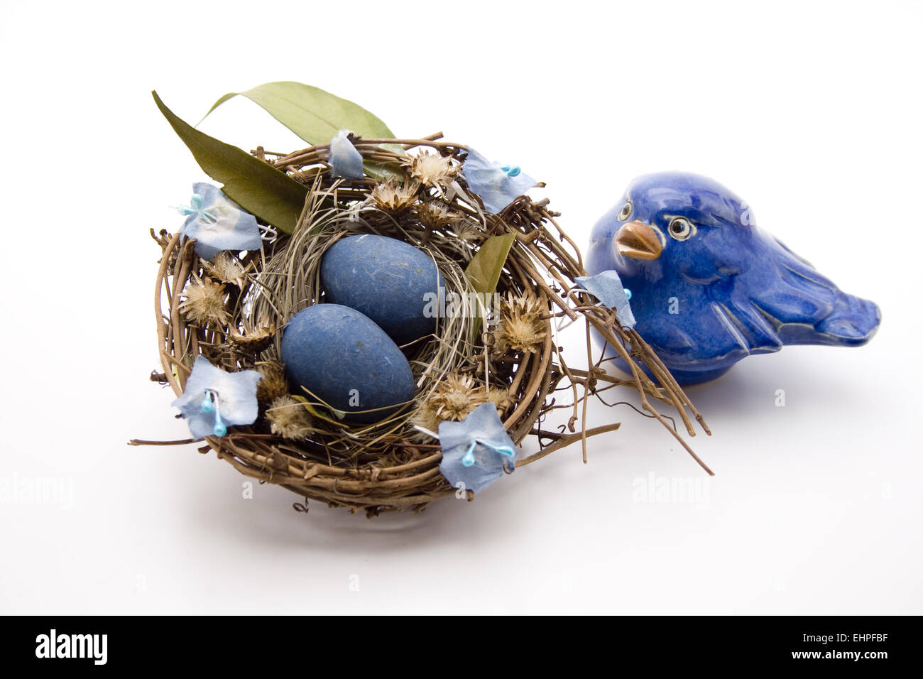 Blauen Eiern im Nest und Vogel Stockfoto
