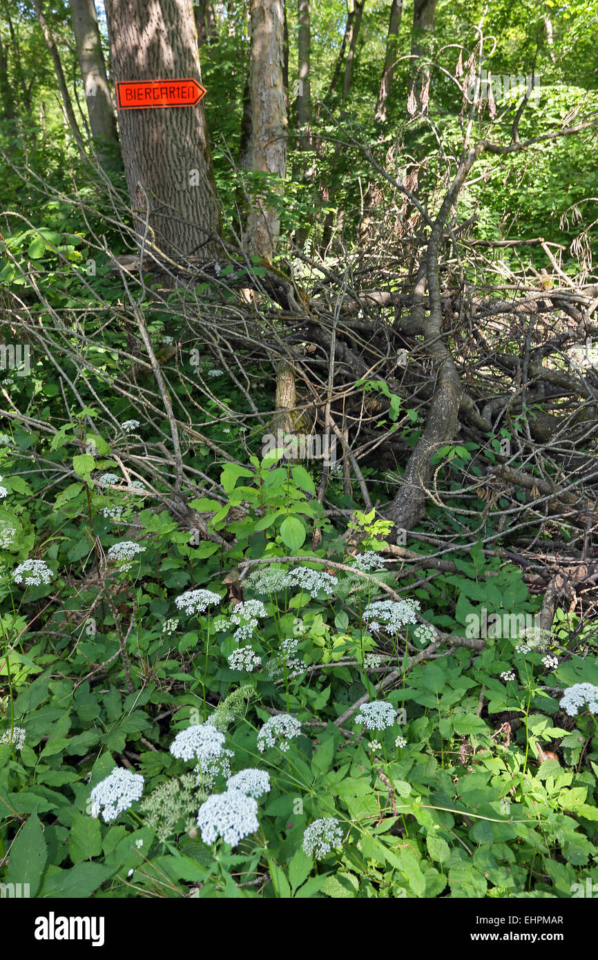 Richtungszeichen Biergarten, Bayern Stockfoto