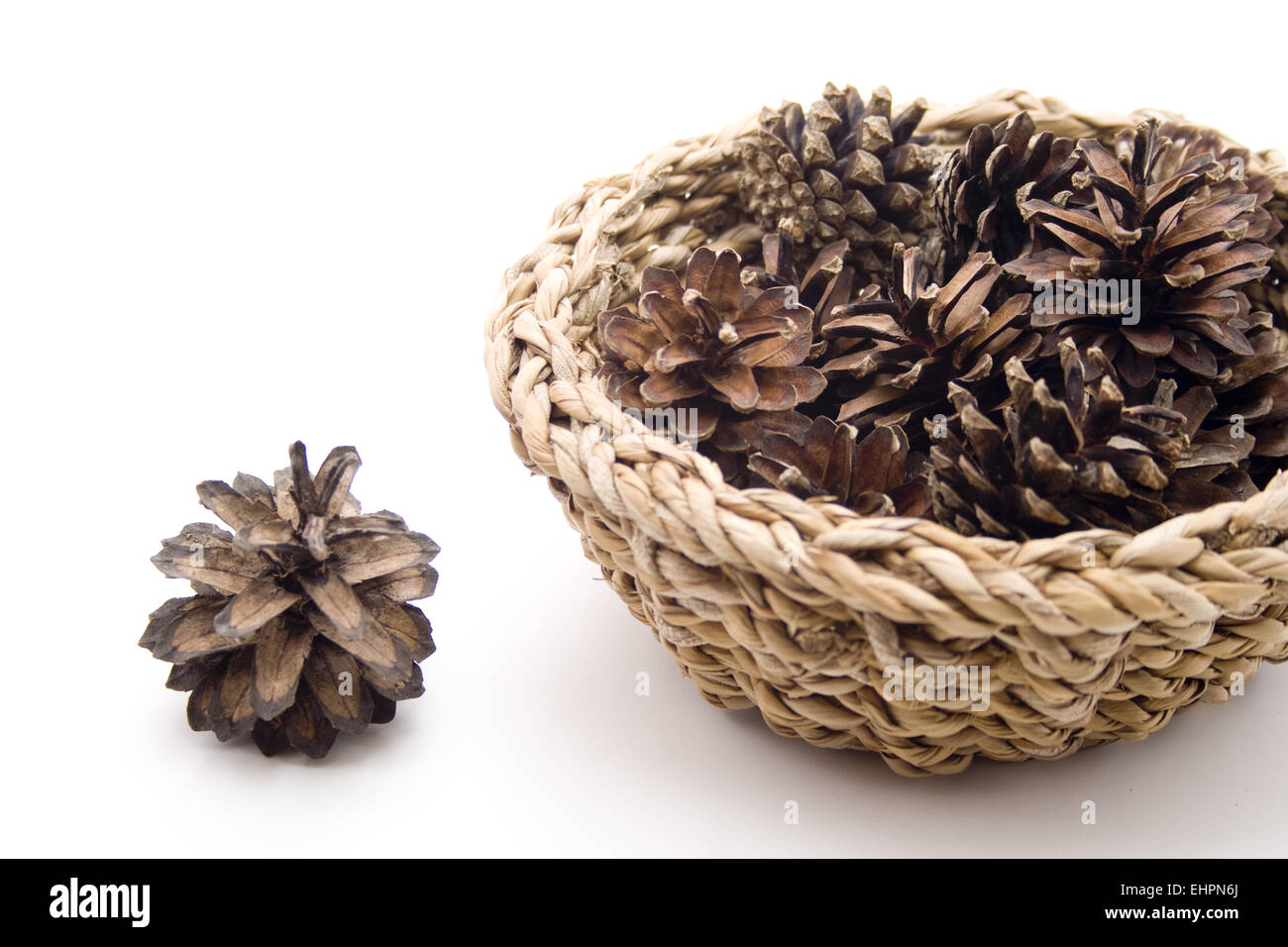 Kiefer-Stecker in den Korb Stockfoto