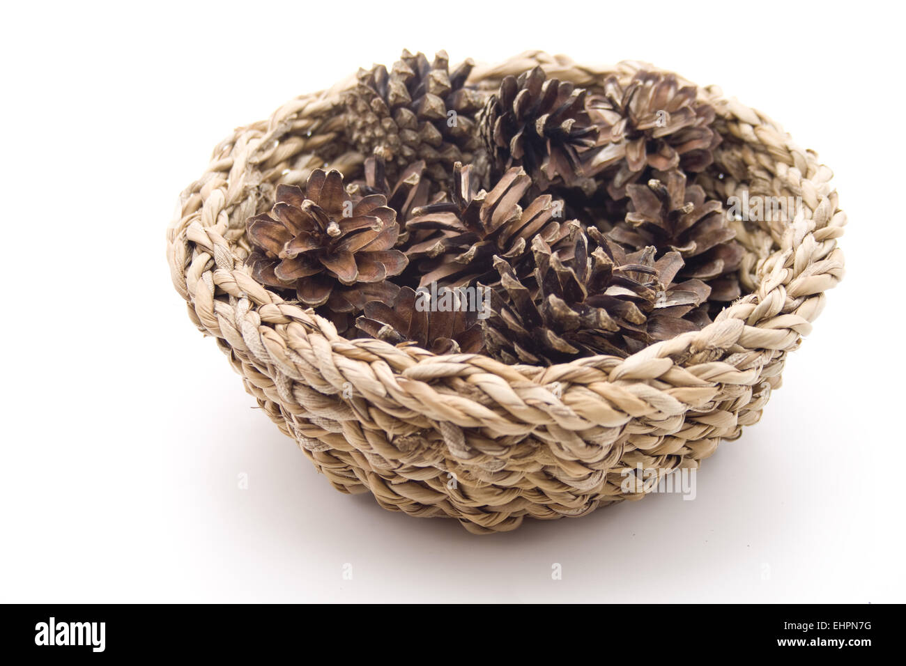 Kiefer-Stecker in den Korb Stockfoto