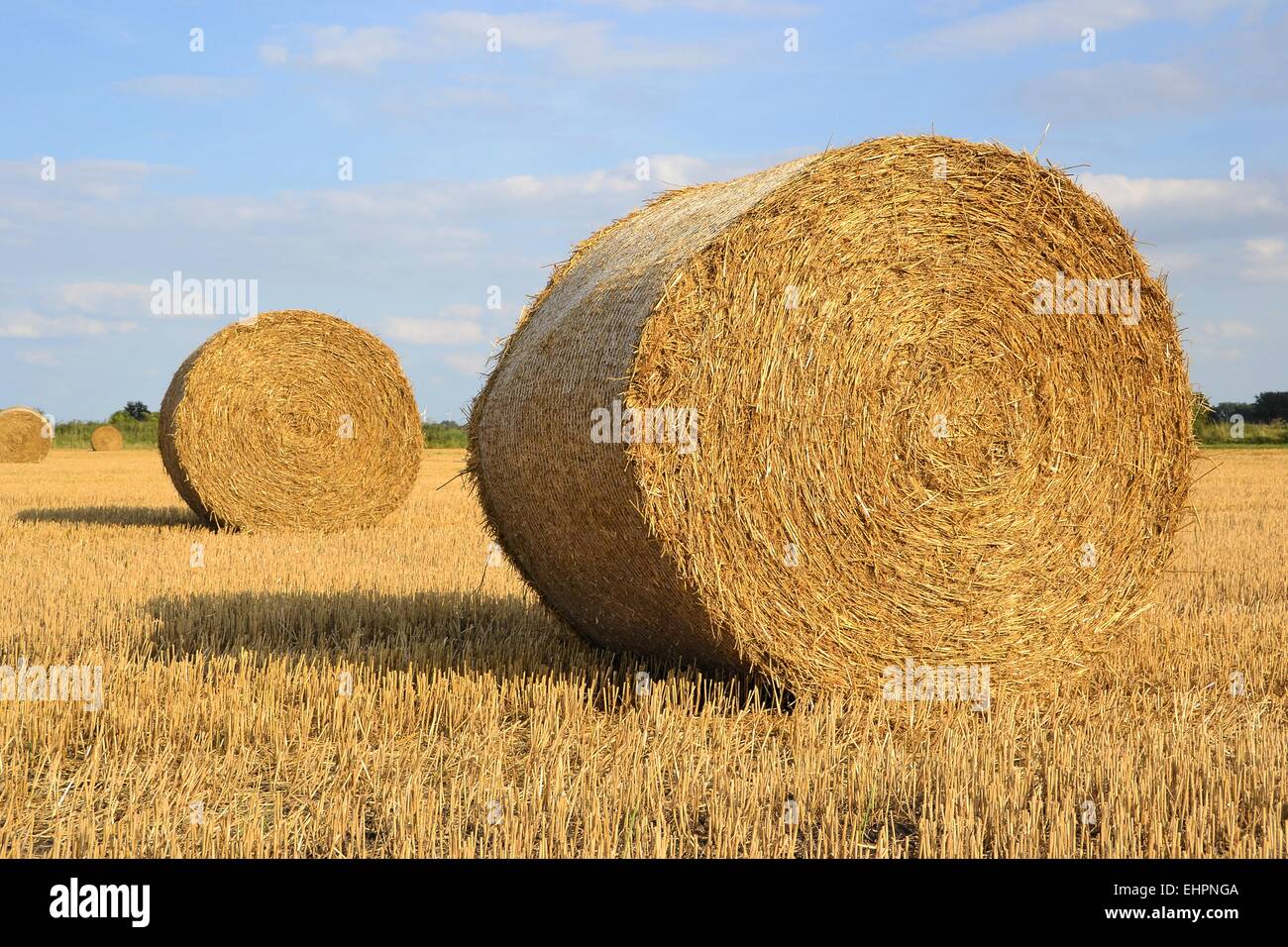Rundballen Im Feld Fotos Und Bildmaterial In Hoher Aufl sung Alamy Rundballen Im Feld Fotos Und Bildmaterial In Hoher Aufl sung Alamy