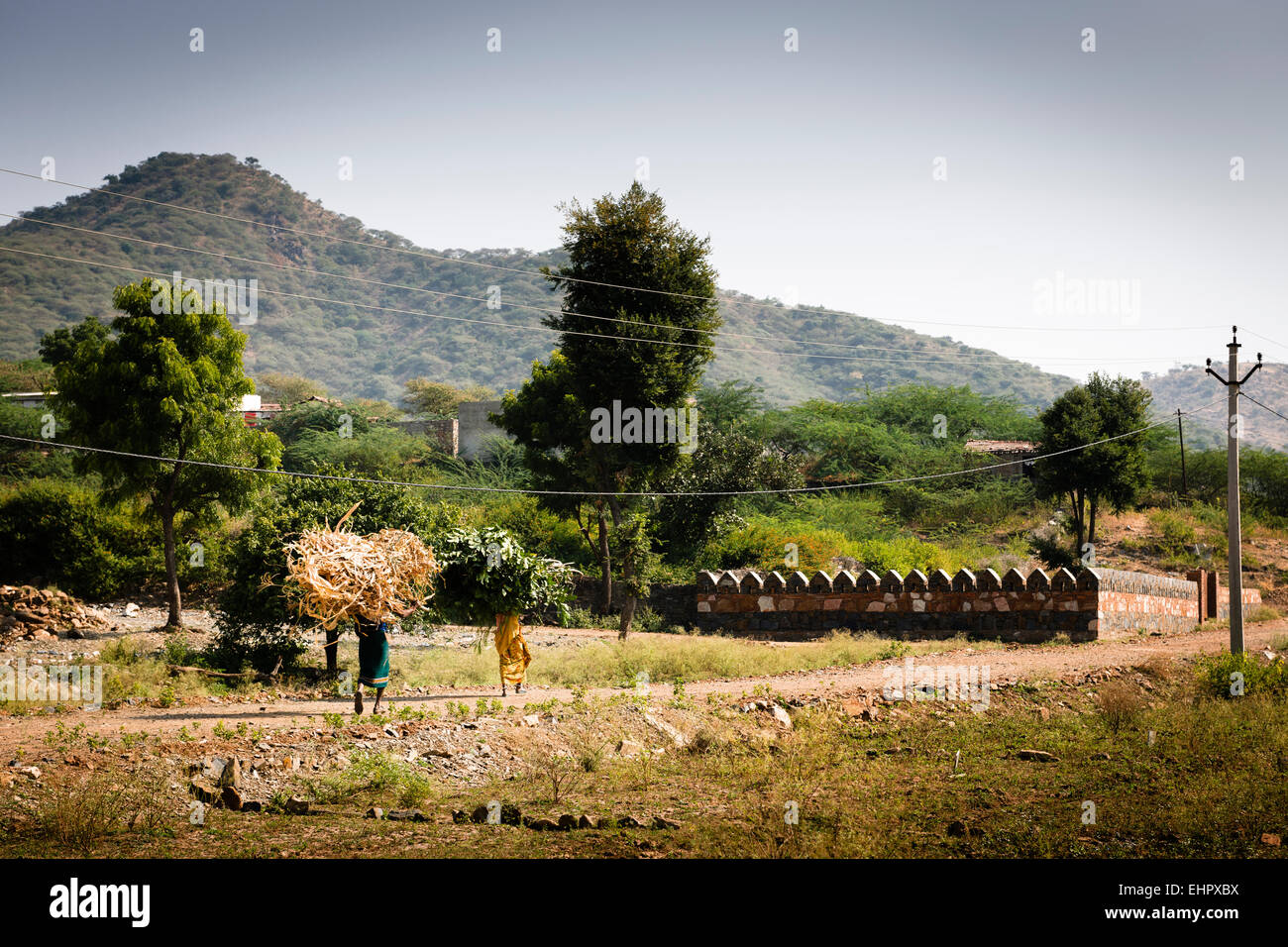 Ein ländliches Dorf auf dem Land außerhalb Udaipur. Stockfoto