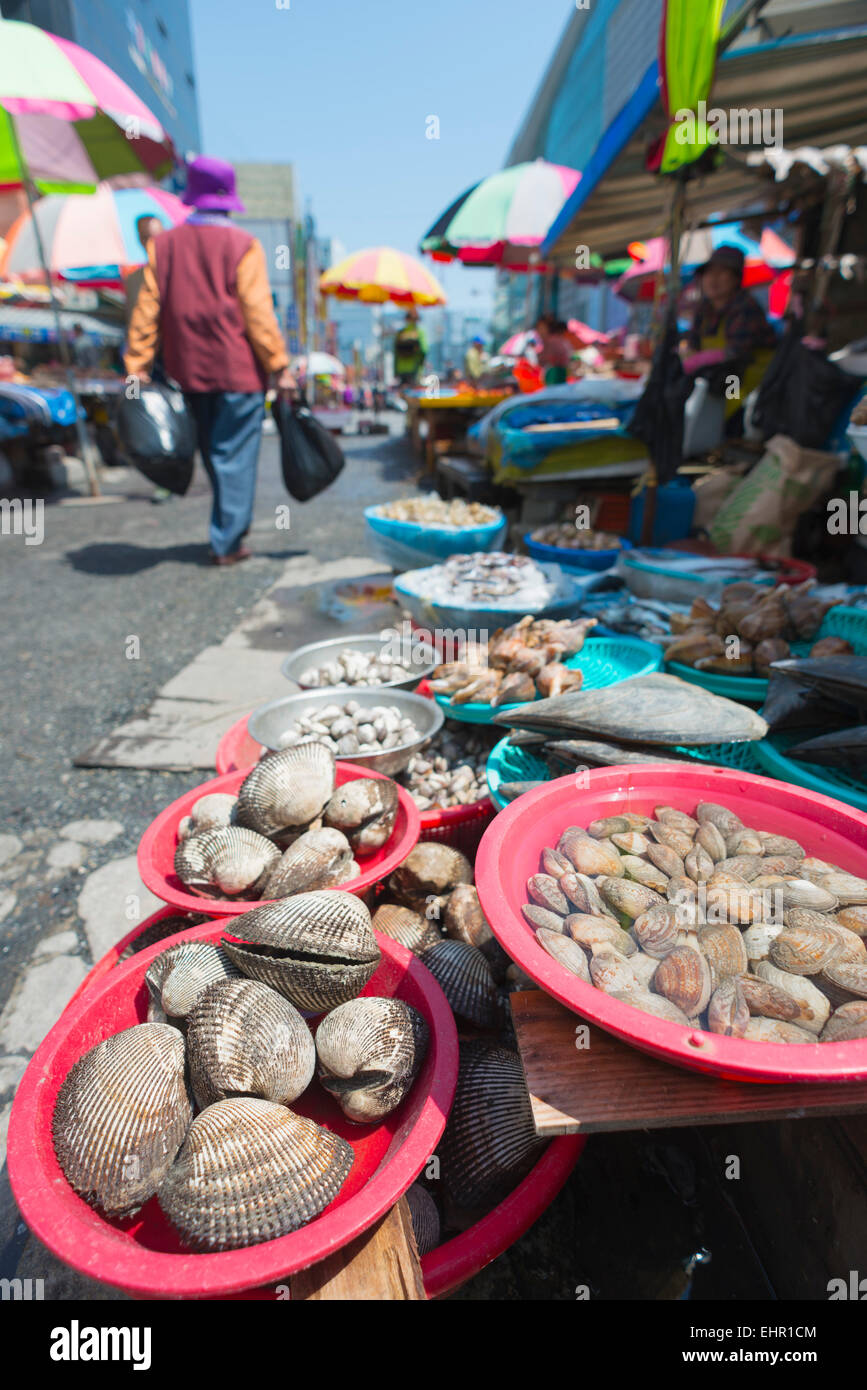 Asien, Republik Korea, Südkorea, Busan, Jagalchi Fischmarkt Stockfoto