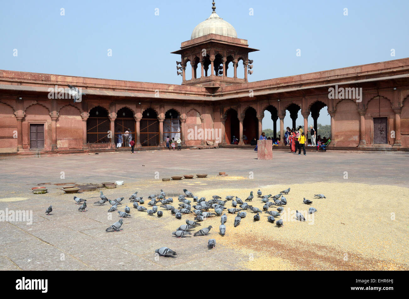 Jama Masjid Moschee, wo Besucher verlassen, Getreide und Wasser füttern die Tauben Delhi Indien Stockfoto