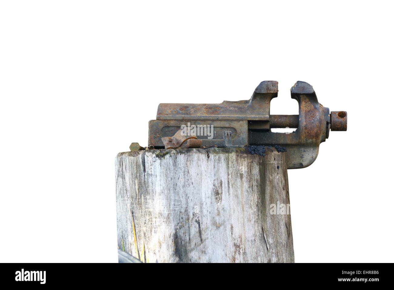 alte rostige Schraubstock montiert auf einer Fichte stumpf isoliert auf weißem Hintergrund Stockfoto