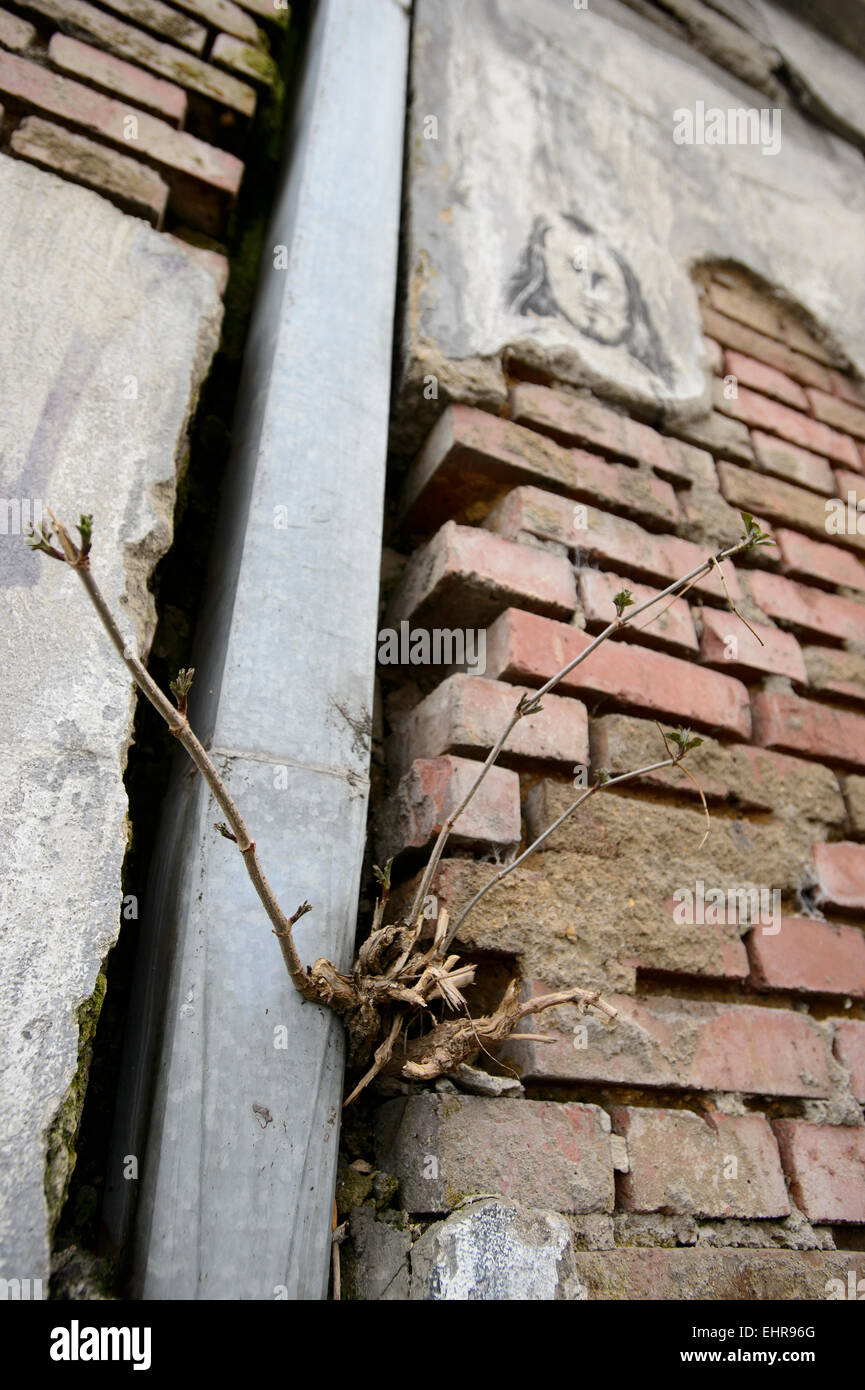 Eine große Skulptur von Ales Vesely, geformt wie eine Schiene in Richtung Himmel, die auch ein Symbol der Jakobsbrunnen Leiter in Prager aufgelösten Bubny Bahnhof installiert wurde Bild (), von denen jüdische Transporte ging im zweiten Weltkrieg und die ist eine Stille Gedenkstätte zur Erinnerung an den Holocaust-Opfer zu werden. Die Skulptur wurde symbolisch enthüllt in Prag, Tschechische Republik, 16. März 2015 anlässlich die Nacht zum 9. März 1944, bei fast 4000 Gefangene, brachte aus der Terezin (Theresiendstadt) "Familienlager," Nordböhmen, in das Vernichtungslager in Oswiecim (Auschwitz ums Leben kamen Stockfoto