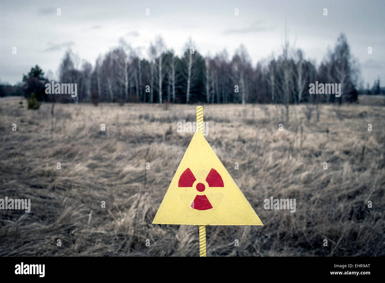 Waldgebiet in der kontaminierten Zone zwischen Prypjat und Tschernobyl, Ukraine Stockfoto